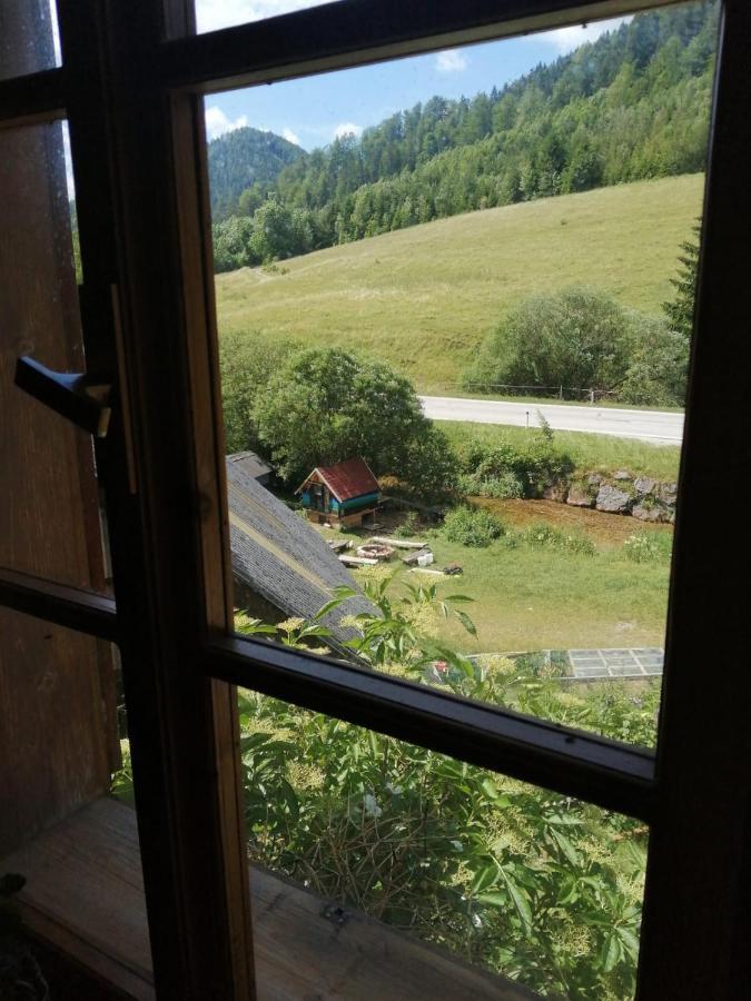 Apartment Nazbauerhof Rohr im Gebirge Εξωτερικό φωτογραφία