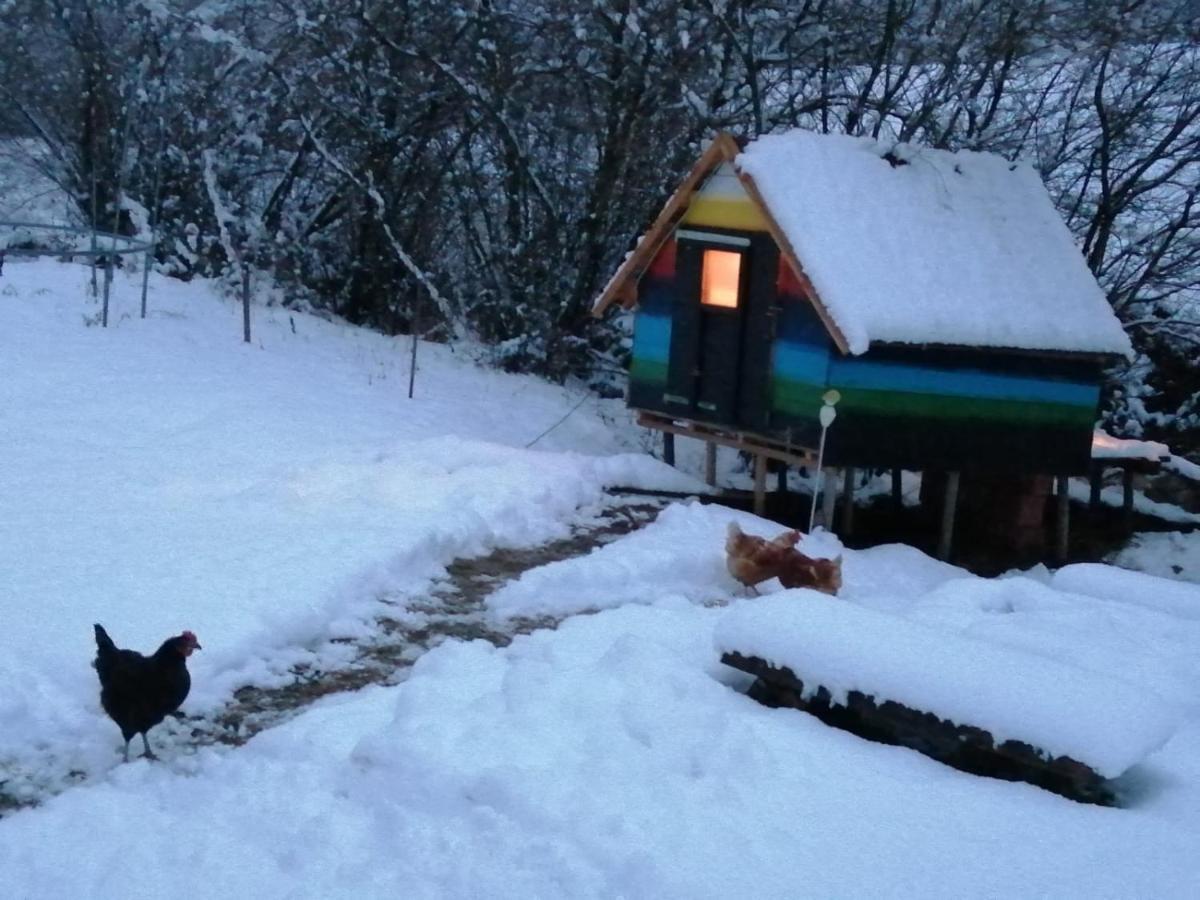 Apartment Nazbauerhof Rohr im Gebirge Εξωτερικό φωτογραφία