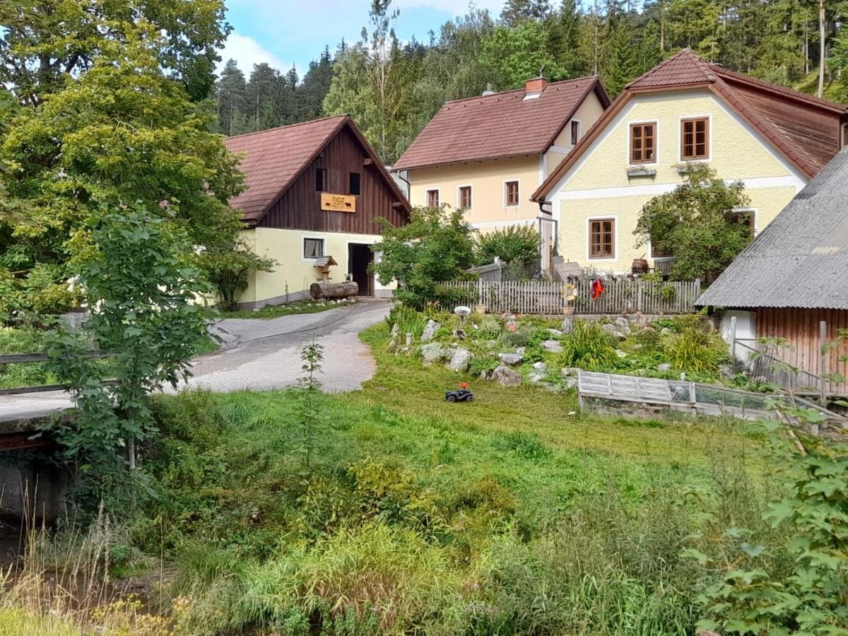 Apartment Nazbauerhof Rohr im Gebirge Εξωτερικό φωτογραφία